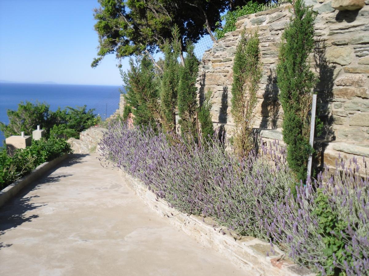 Agia Eleousa Aegean Castle Andros - Adults Onlyアパートホテル エクステリア 写真